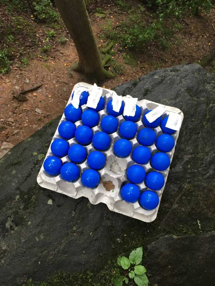Plastic eggs on the edge of a cliff.