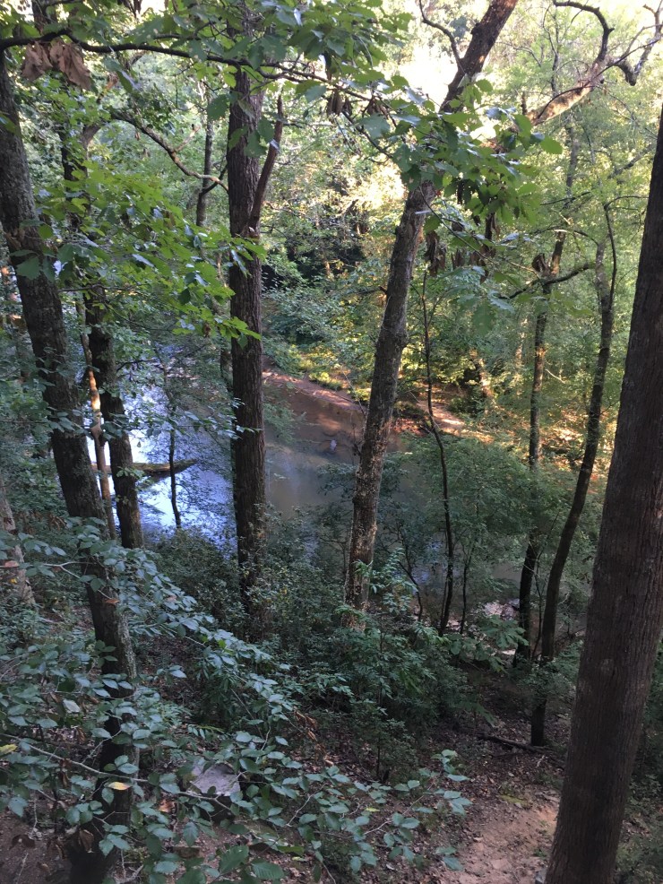 The view from a cliff.