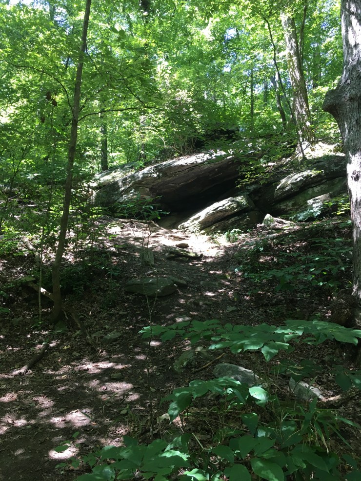 A rock formation in the forest.