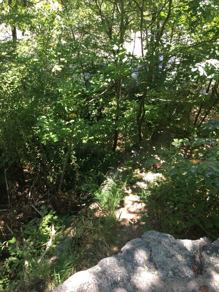 View from on top of a large boulder.