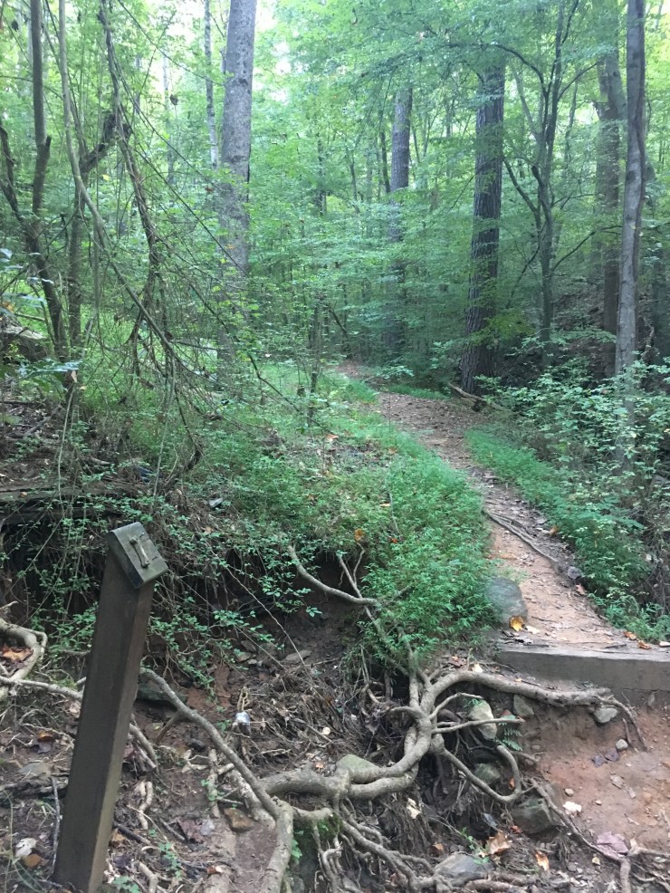 Beginning of a trail.