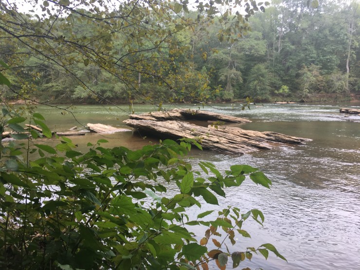 Rocks in the middle of the river with branches in the foreground.