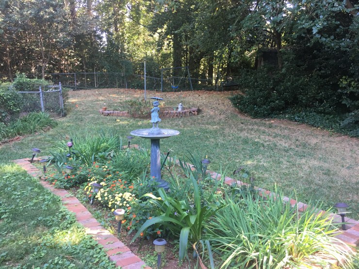 A suburban backyard.