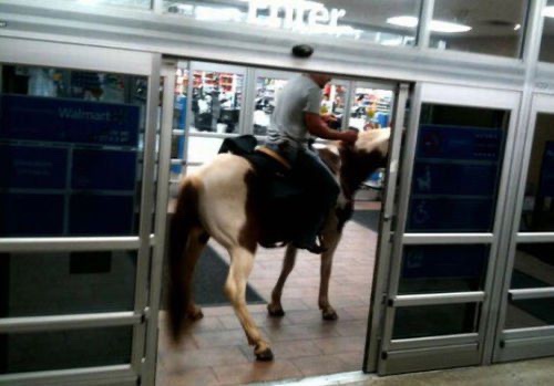 Man riding horse in Walmart