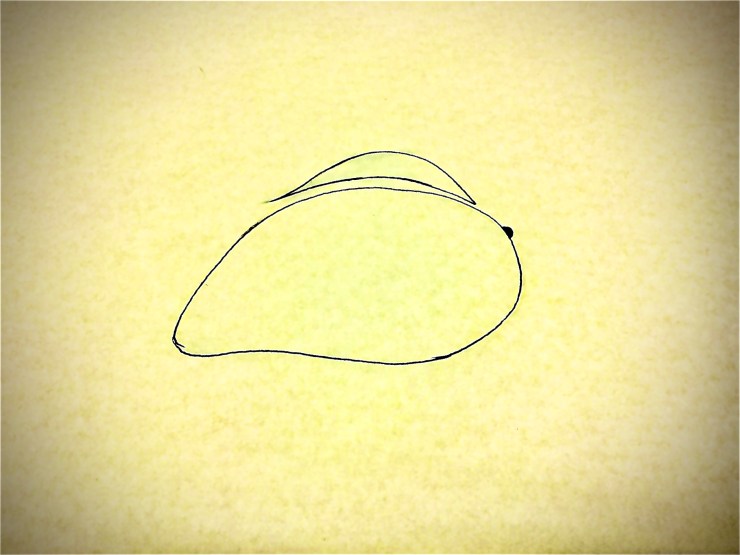Drawing of a mango.