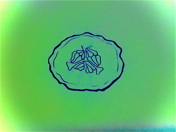 Drawing of a cucumber slice.