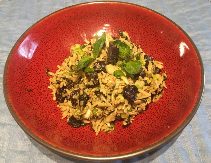 Orzo with Thai Basil Pesto and Dried cherries.