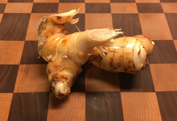 Galangal.