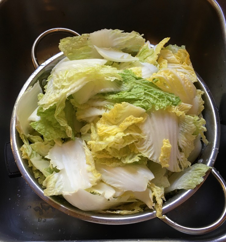Cabbage 30 minutes after salting.