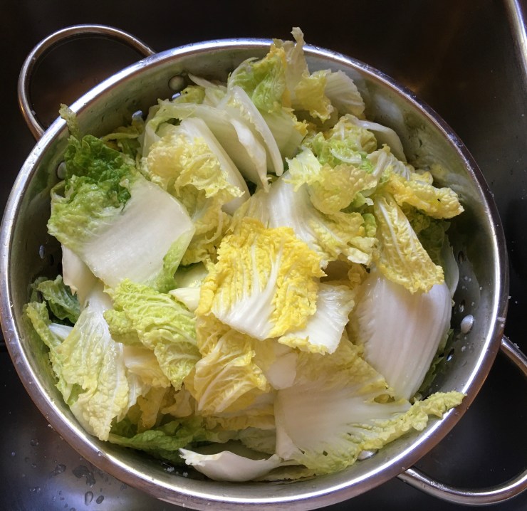 Cabbage 1 hour after salting.