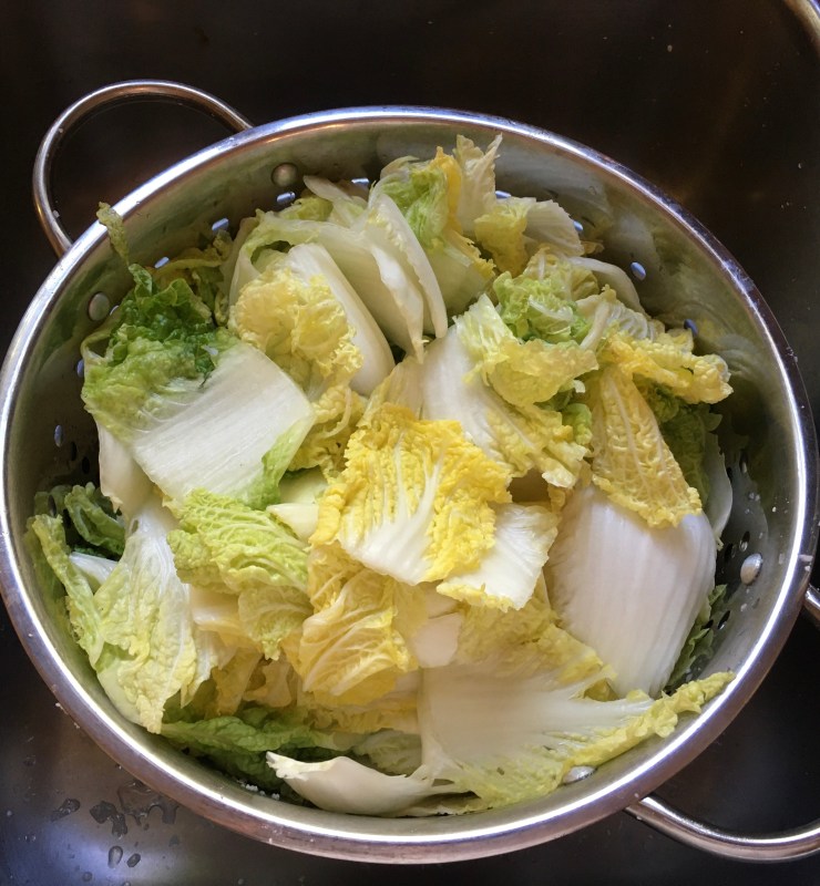 Cabbage 90 minutes after salting.