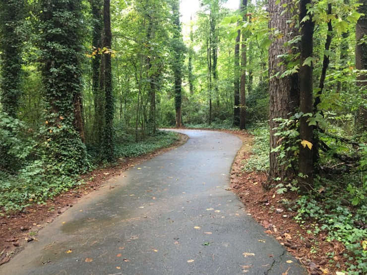 Hiking trail in Don White Park.