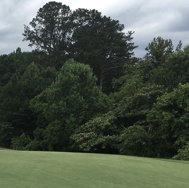 Perfectly manicured front lawn.