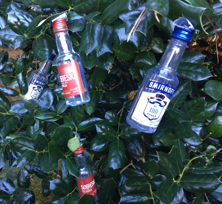 Vodka bottles on holly bush.