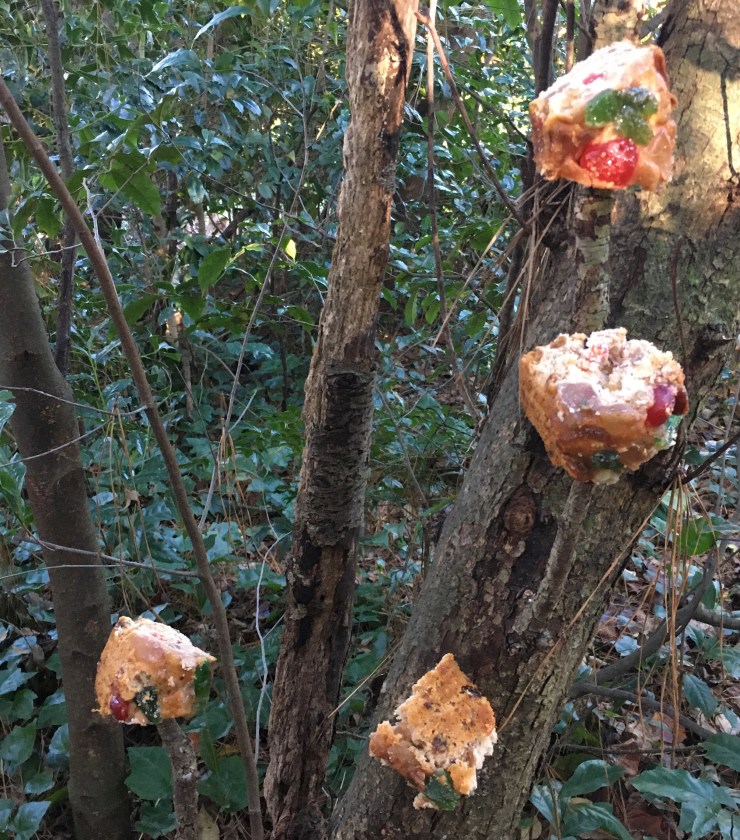 A fruitcake tree.