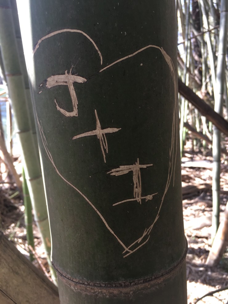 Lovers initials carved in bamboo with heart shape.