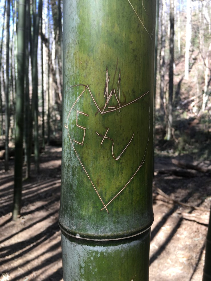 Lovers initials carved in bamboo.