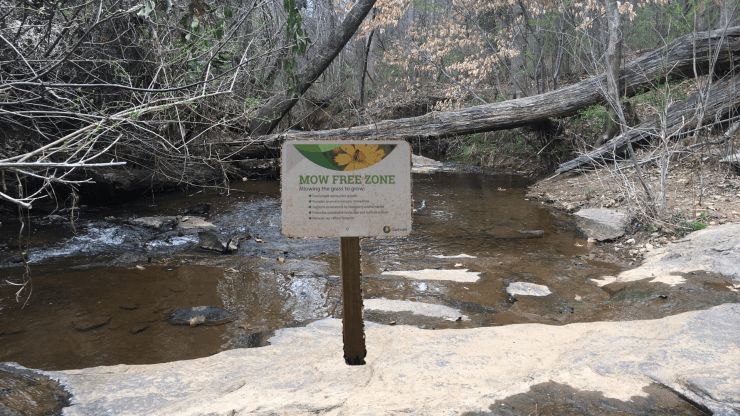 Mow free zone sign over riverbed.