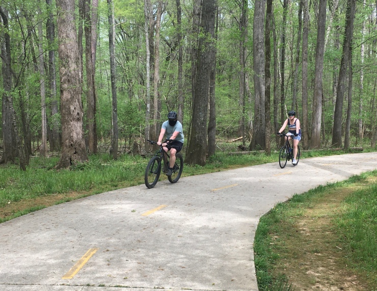 Two cyclists going around a bend on a path.