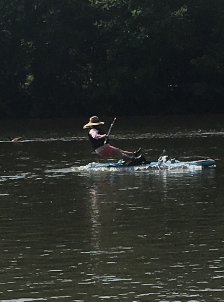 Lady falling off a paddle board in a river.