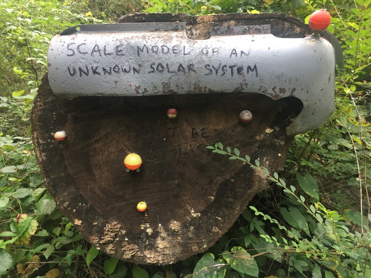 Fishing bobbers attached to a tree stump.