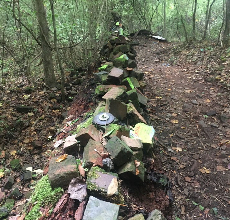 Bricks carefully placed on a fallen tree.
