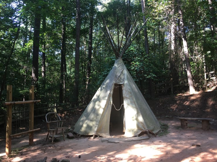 A teepee/wigwam in a forest.