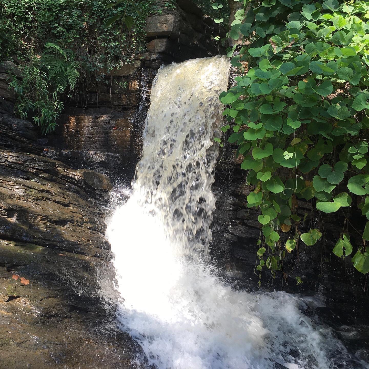 Side waterfall from Vickery falls.