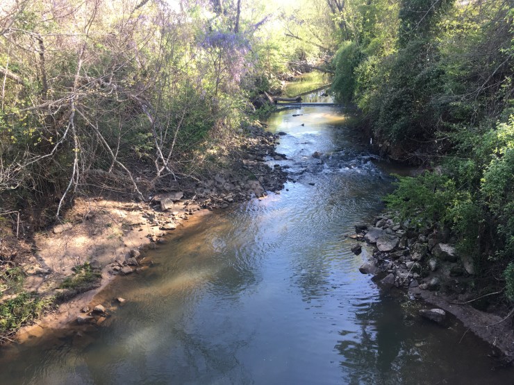 A slowly flowing creek.