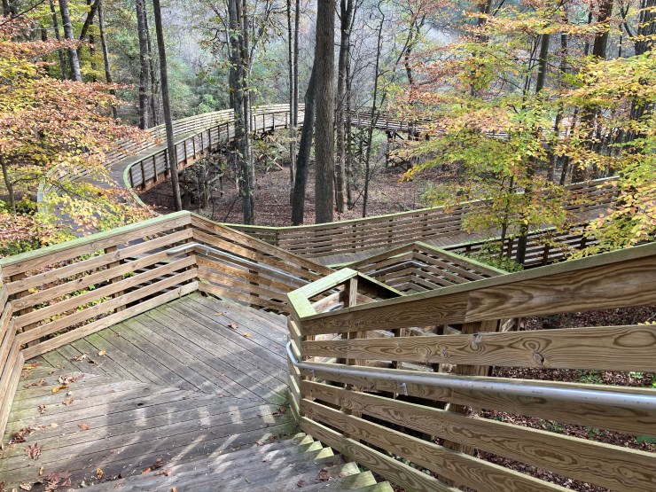 Stairs leading down to a boardwalk.