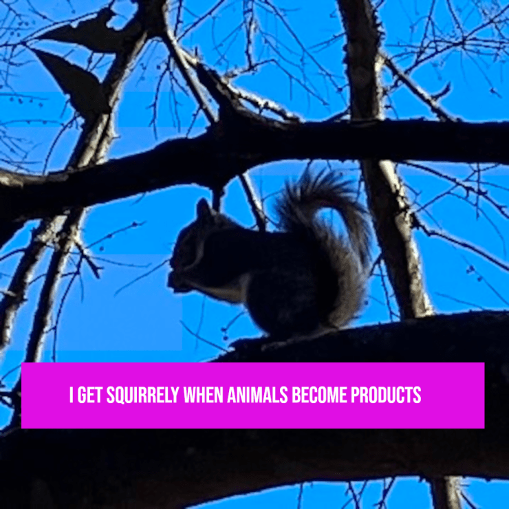 Squirrel on a tree limb. Below the squirrel is a purple box with text that says, "I get squirrely when animals become products."
