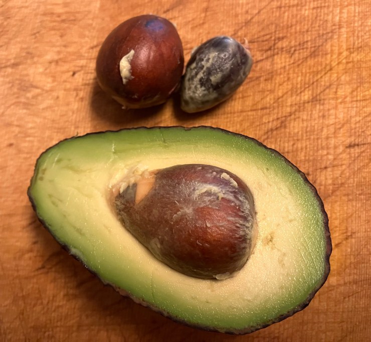 Two avocado pits above an avocado half on a cutting board.