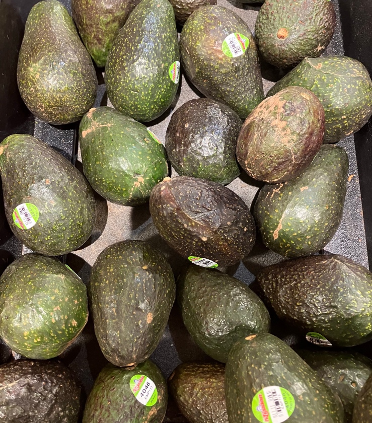 A bin of avocados in a grocery store.