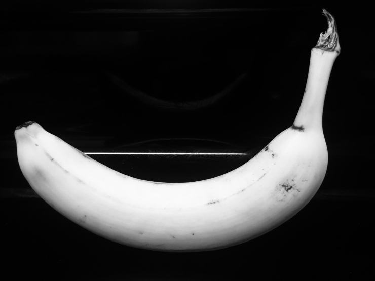Black and white photo of a banana on a stove.